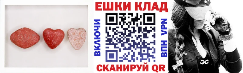 где купить МЕГА ТОР Экстази Philipp Plein Власиха