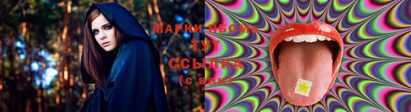 гашик Белокуриха
