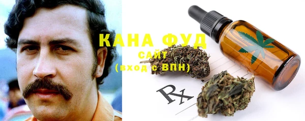 гашик Белокуриха