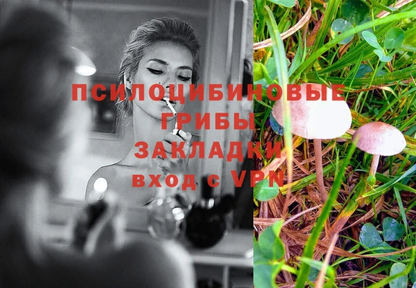 альфа пвп Беломорск