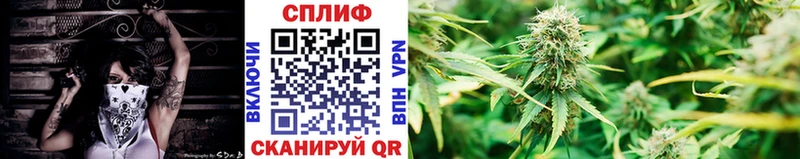 Марихуана THC 21%  мориарти клад  Власиха 